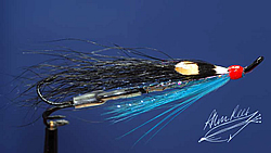 Fly