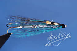 Fly