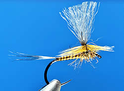 Fly