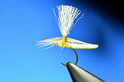 Fly