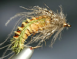 Fly