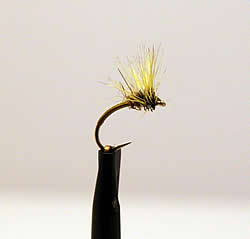 Fly