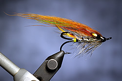 Fly