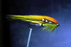 Fly