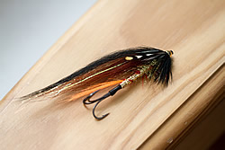 Fly