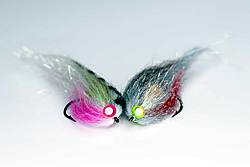 Fly