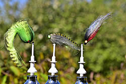 Fly