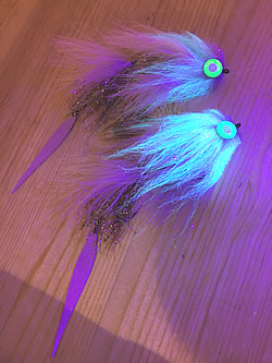 Fly