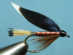 Fly