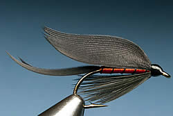 Fly