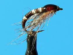Fly