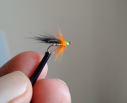 Fly