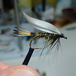 Fly