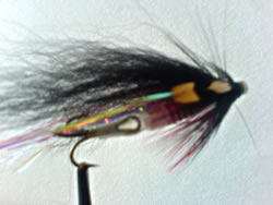 Fly