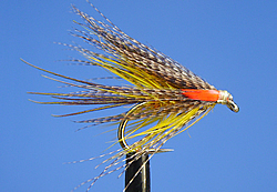 Fly