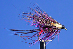 Fly