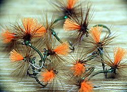 Fly