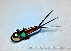 Fly