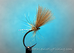 Fly