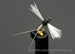 Fly