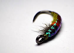 Fly