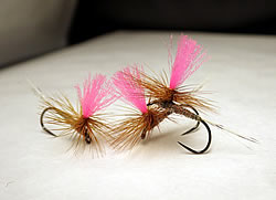 Fly