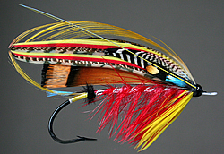 Fly