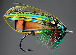 Fly