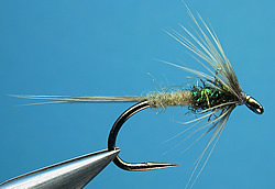 Fly