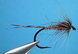 Fly