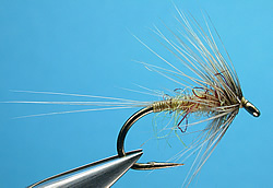 Fly