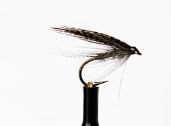 Fly
