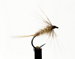 Fly
