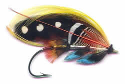 Fly