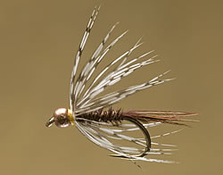 Fly