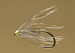 Fly
