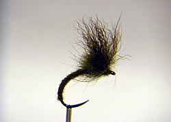 Fly