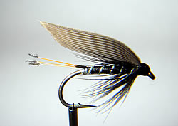 Fly