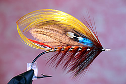 Fly