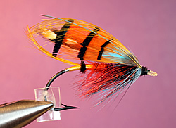 Fly