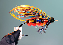 Fly