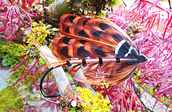 Fly