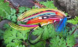 Fly