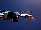 Fly