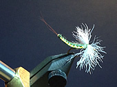 Fly