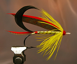 Fly