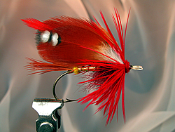 Fly