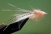 Fly