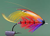 Fly
