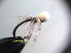 Fly